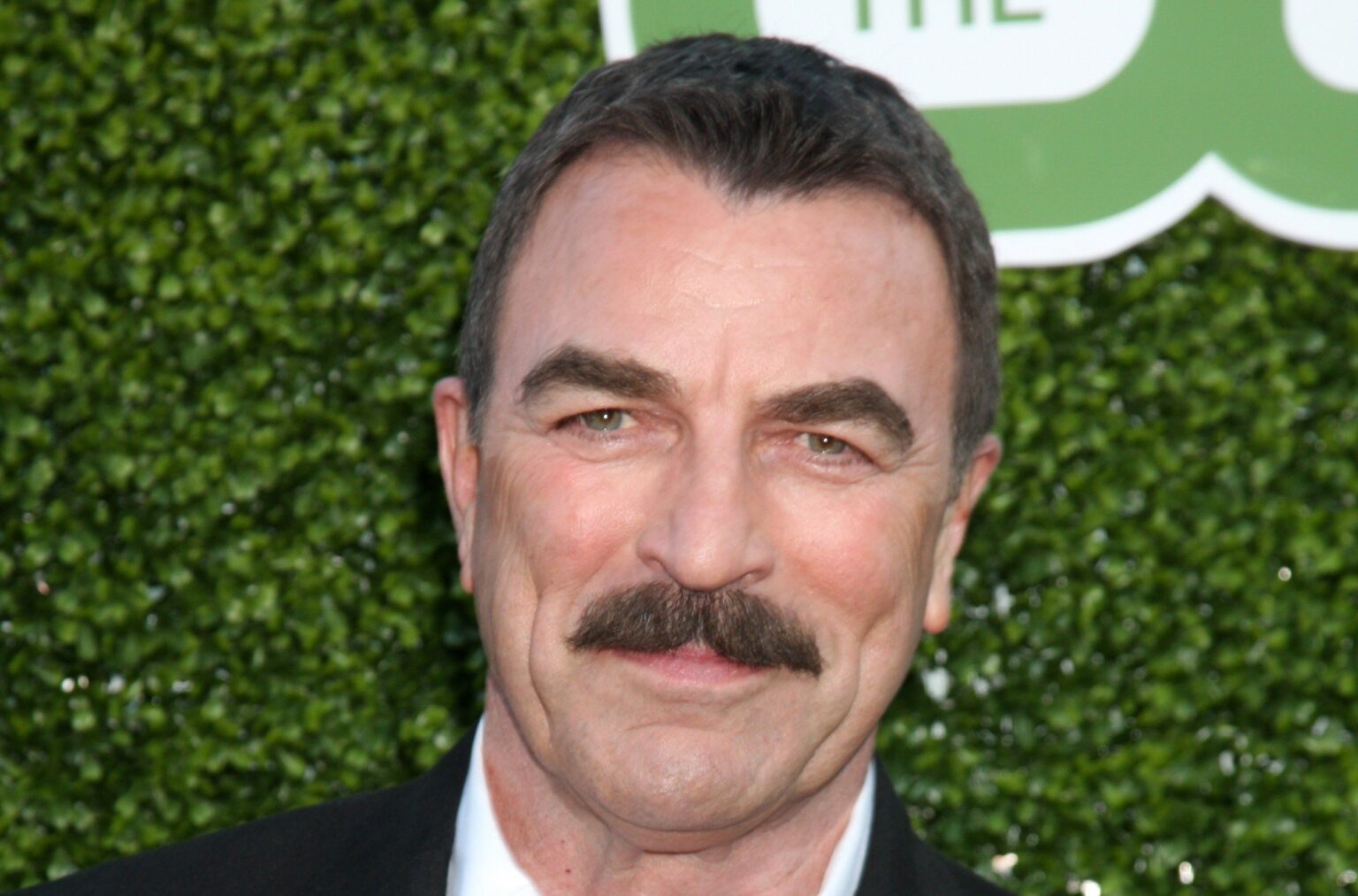 Is Tom Selleck Gay - The Time Posts
