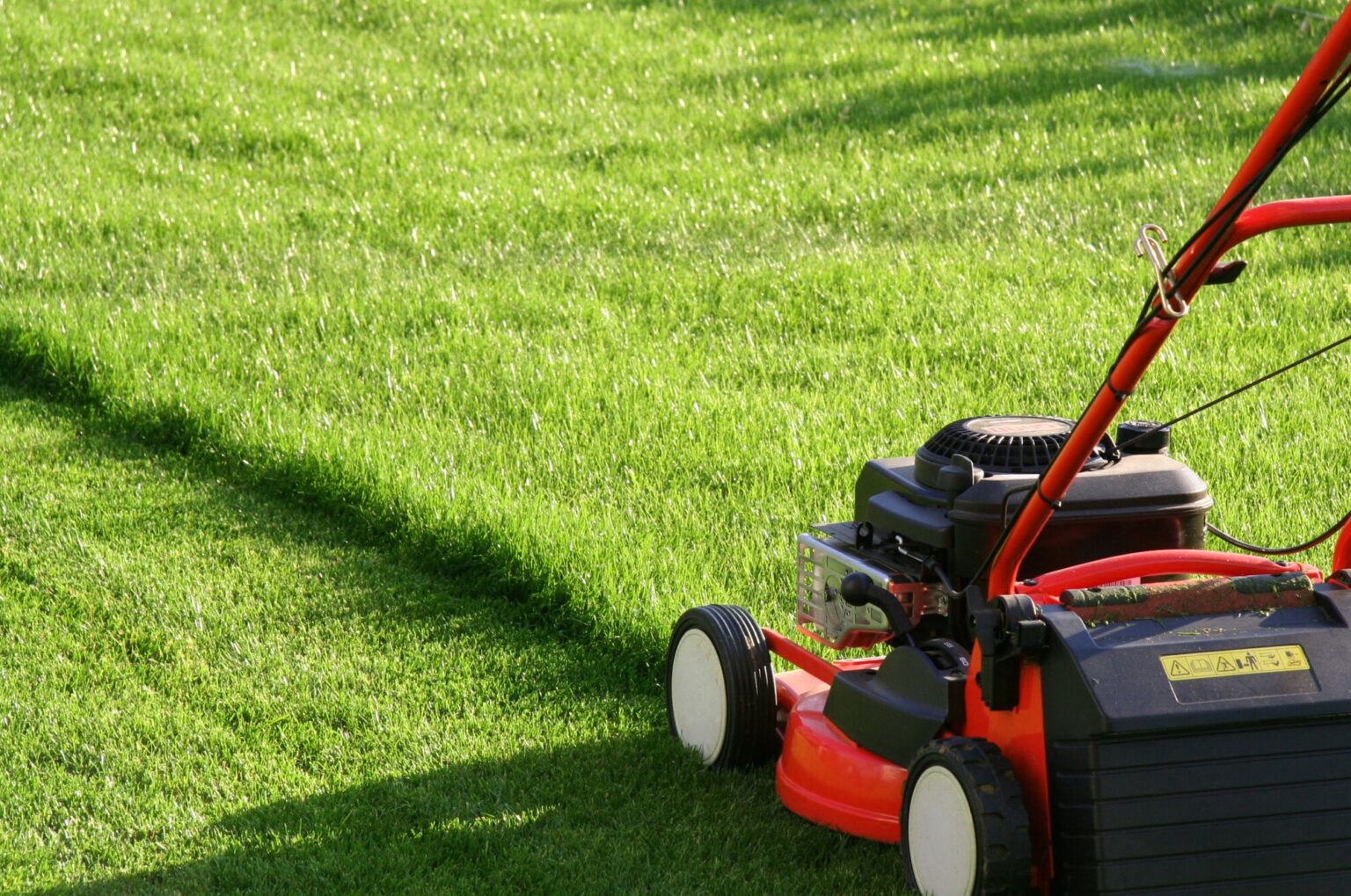 Mulching vs Bagging What's Best For Your Lawn? The Time Posts