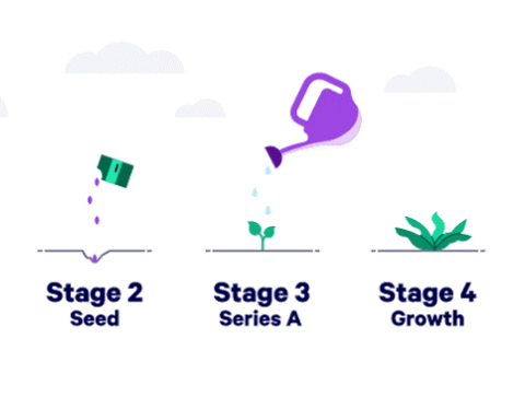Growth Stages