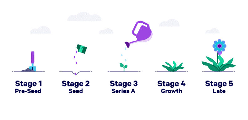 Growth Stages