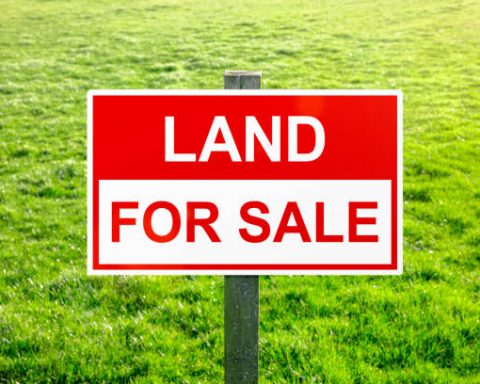 Sell Land